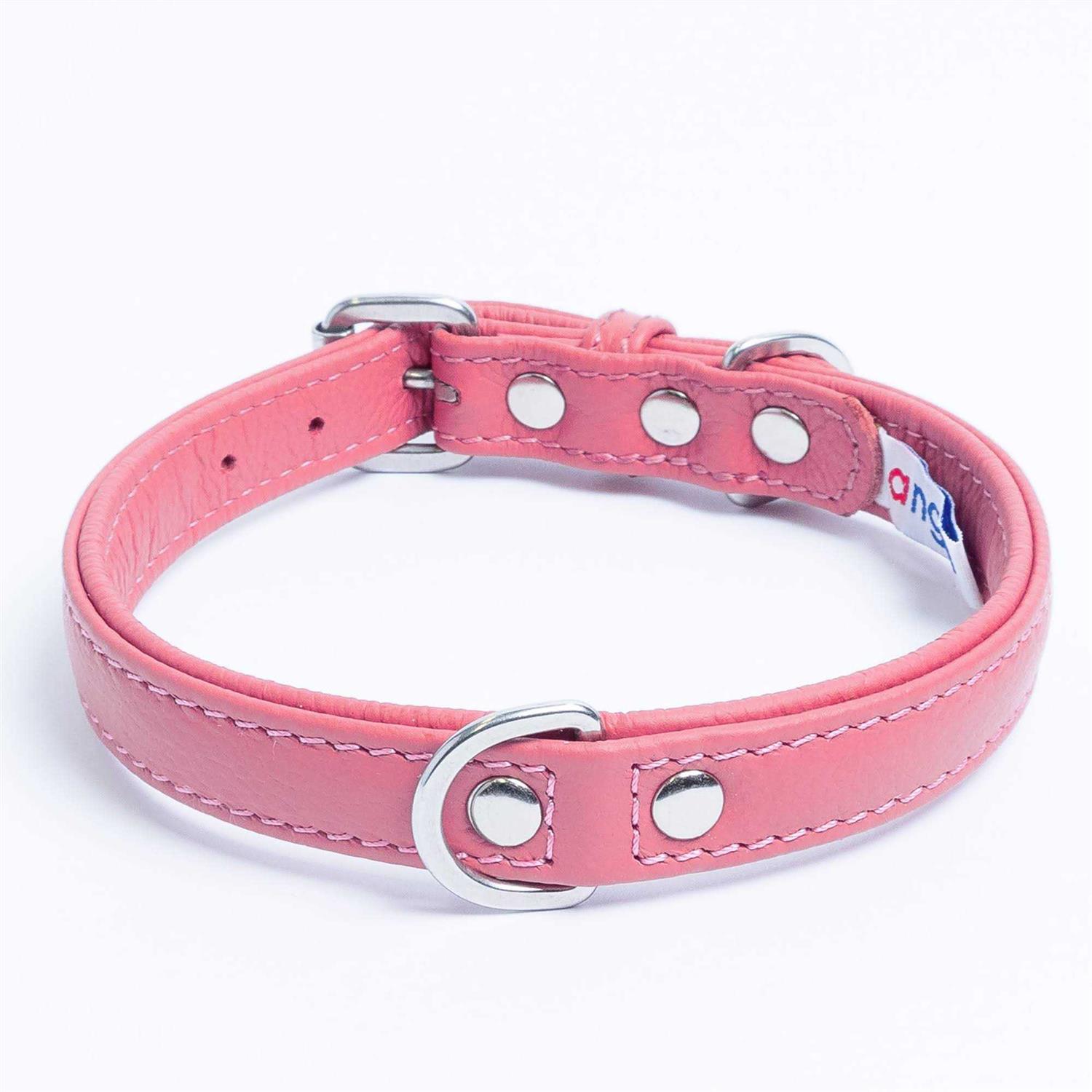 Alpine Dog Collar - Pet Supplies online store