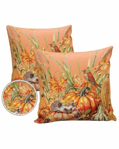 Outdoor Pillow Covers Waterproof, Thanksgiving Pumpkins Throw Pillowcase Decorative Cover, Autumn Animals Harvest Wooden Garden Cushion Case Set of 2 for Sofa, Couch, Tent, Patio, 16