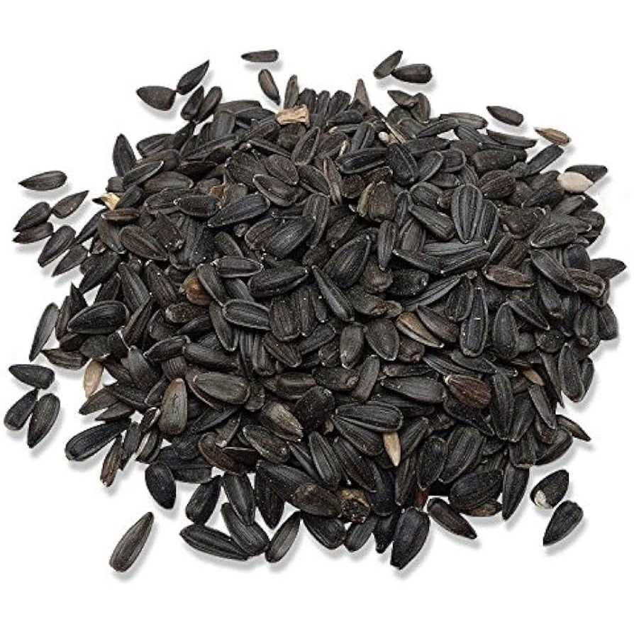 Audubon Park Black Oil Sunflower Seed Wild Bird Food 12259 - Pet Supplies online store