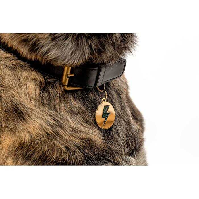 Two Tails Pet Company Lightning Bolt Pet ID Tag - Pet Supplies online store