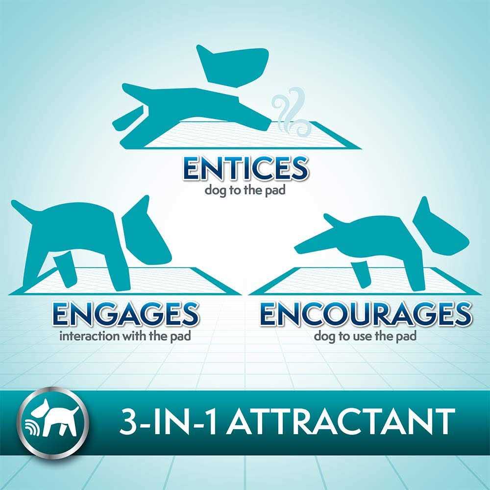 Simple Solution Dog Training Pads - Pet Supplies online store