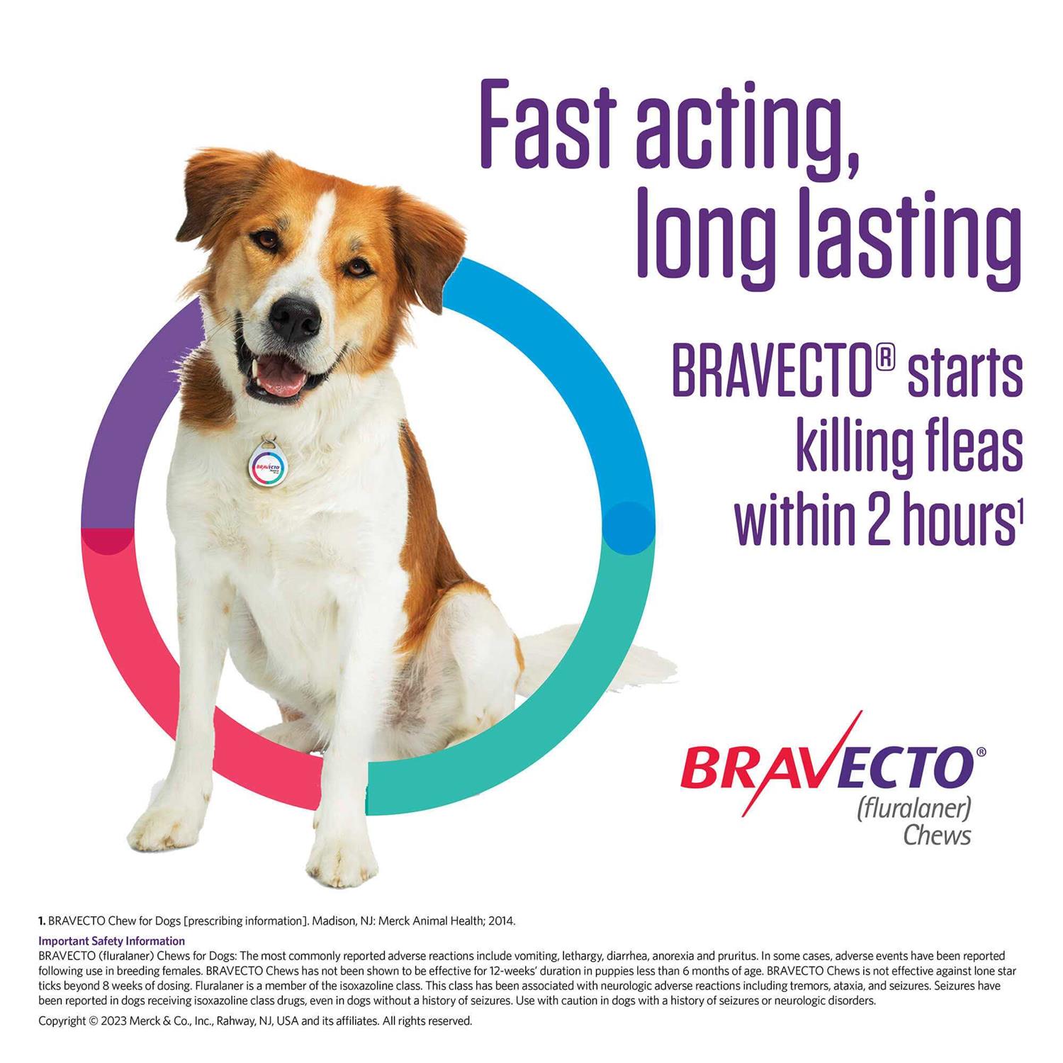 Bravecto Chew for Dogs 88-123 lbs - Pet Supplies online store