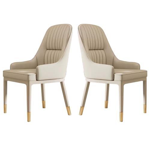 Chairs s Set of 2 Mid-Century Modern s Dining Room Chairs Sturdy Metal Legs with Arms, Small Space Dining Set for Living Waiting Room Easy Assembly