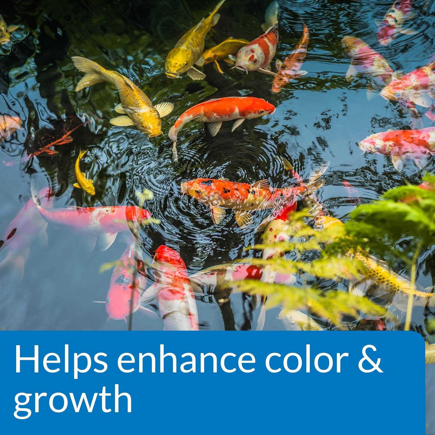 API Pond Fish Food - Pet Supplies online store