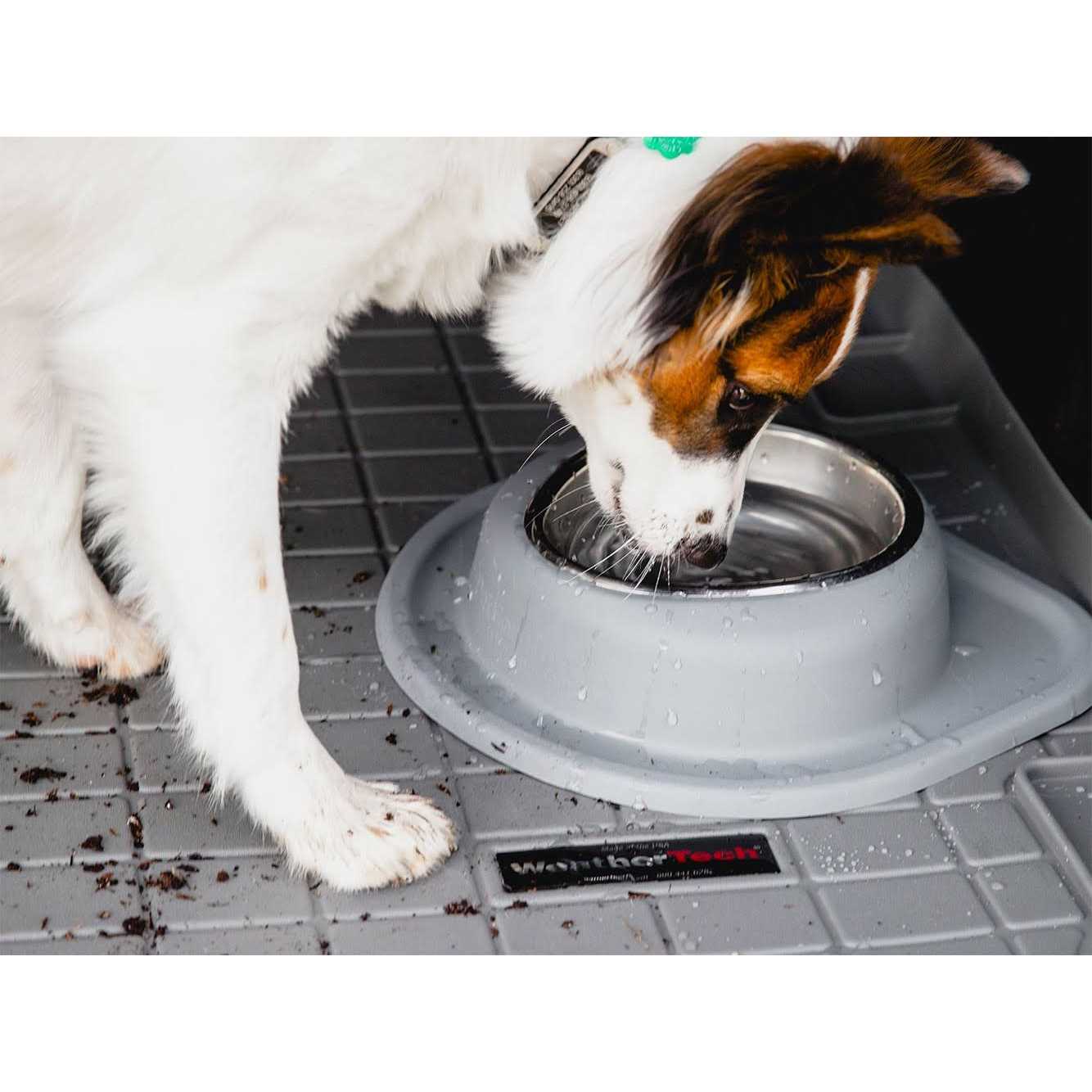 WeatherTech Double High Pet Feeding System - Pet Supplies online store