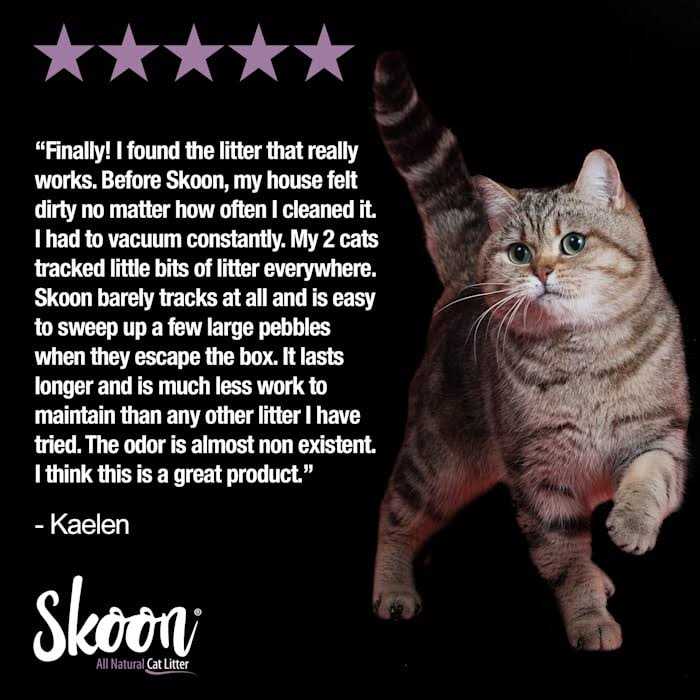 Skoon All-Natural Cat Litter Light-Weight, Non-Clumping, Low Maintenance, Eco-Friendly - Pet Supplies online store