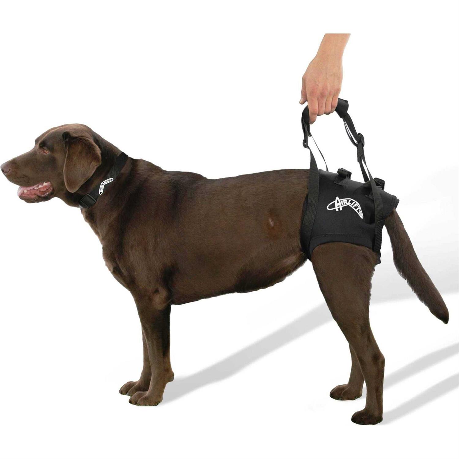 Walkabout Airlift One Support Harness - Pet Supplies online store