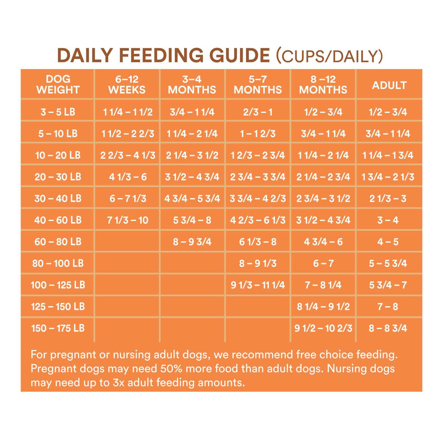 WholeHearted All Life Stages Chicken and Rice Recipe Dry Dog Food - Pet Supplies online store