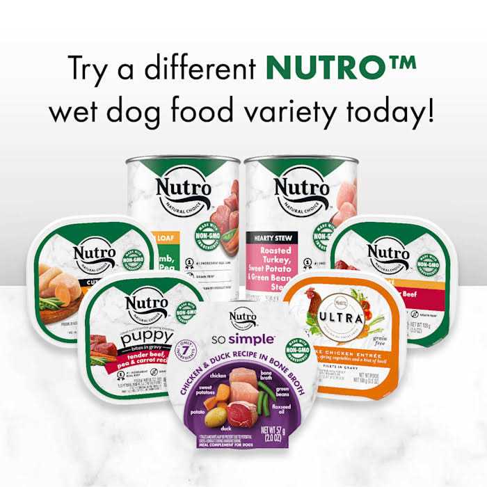 Nutro So Simple Meal Complement Wet Dog Food Chicken & Duck Recipe in Bone Broth - Pet Supplies online store