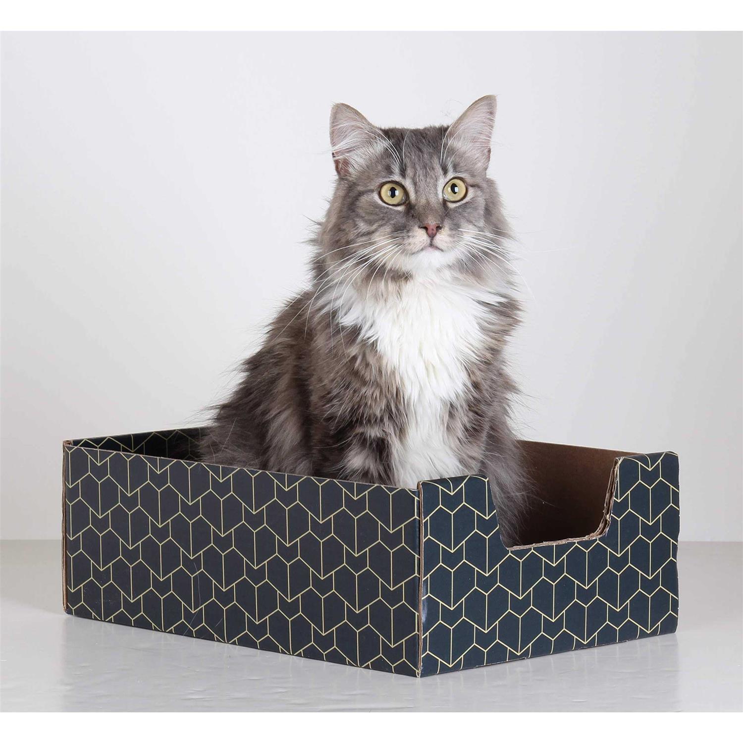 Purrfect Cat Box , Blue - Pet Supplies online store