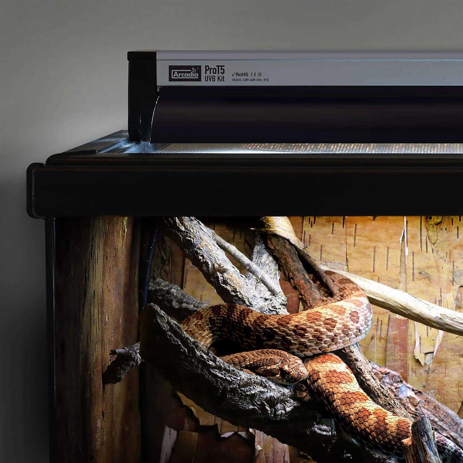 Arcadia Reptile Pro T5 Forest 6% UVB 24 inch Lighting Kit for Reptiles - Pet Supplies online store