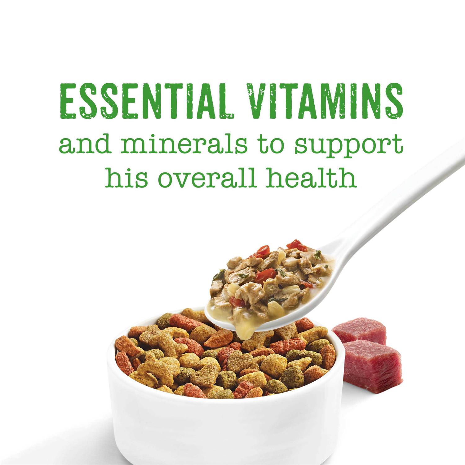 Purina Beneful Medleys Wet Dog Food - Pet Supplies online store