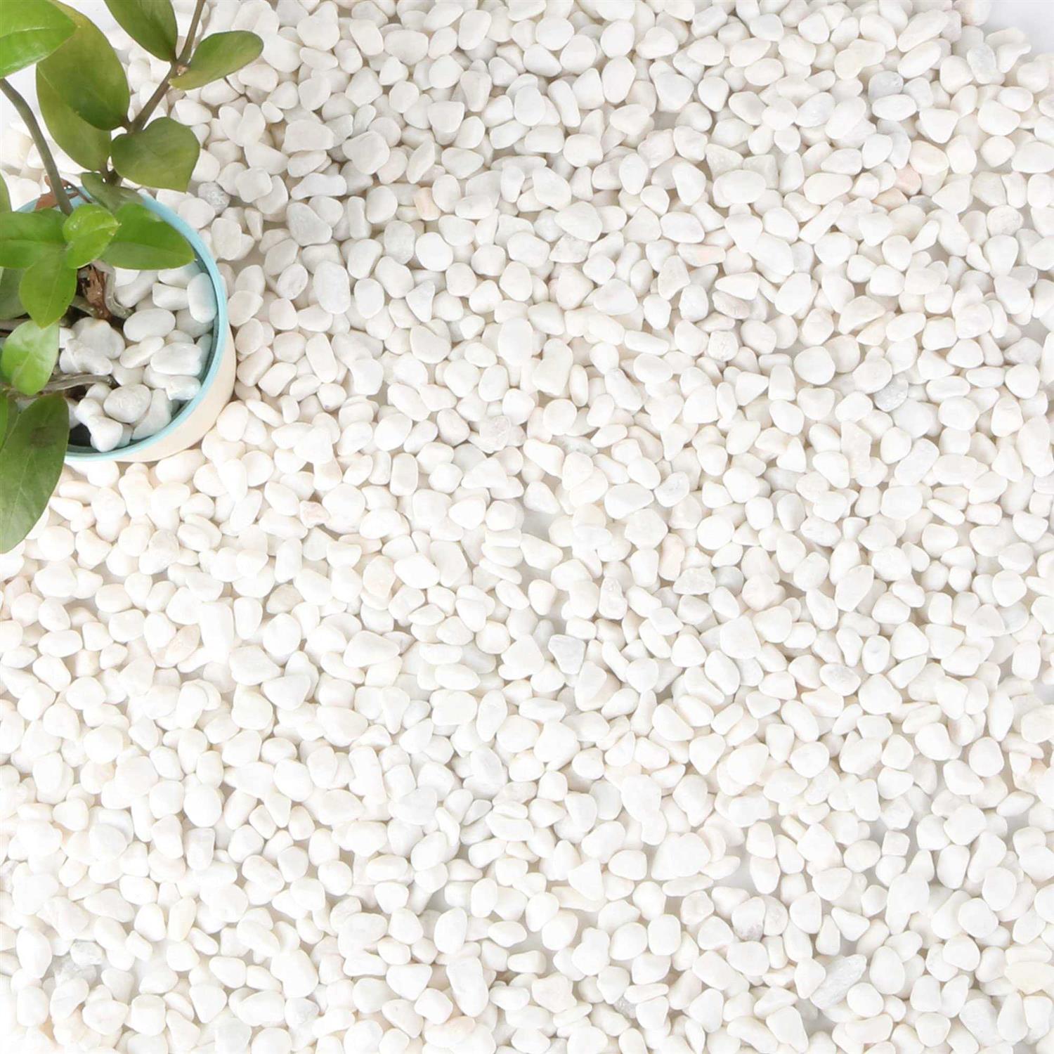 Anothera 18-lb Bulk Bag White Pebbles 1/2 Size Aquarium Gravel Outdoor Garden Paving Plant Decorative Stones - Pet Supplies online store