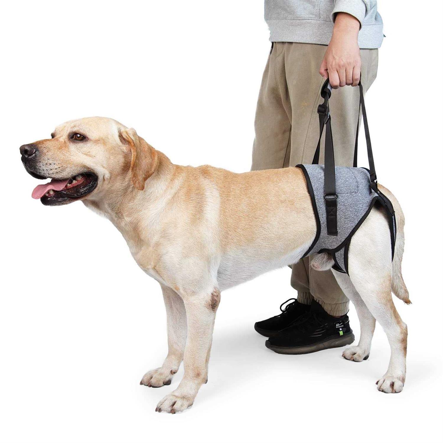 Dotoner Dog Sling for Large Dogs Hind Leg Support to Help Rehabilitate The Hind Limbs of Elderly Dogs with Weak Hind Legs Disabilities and Injuries - Pet Supplies online store
