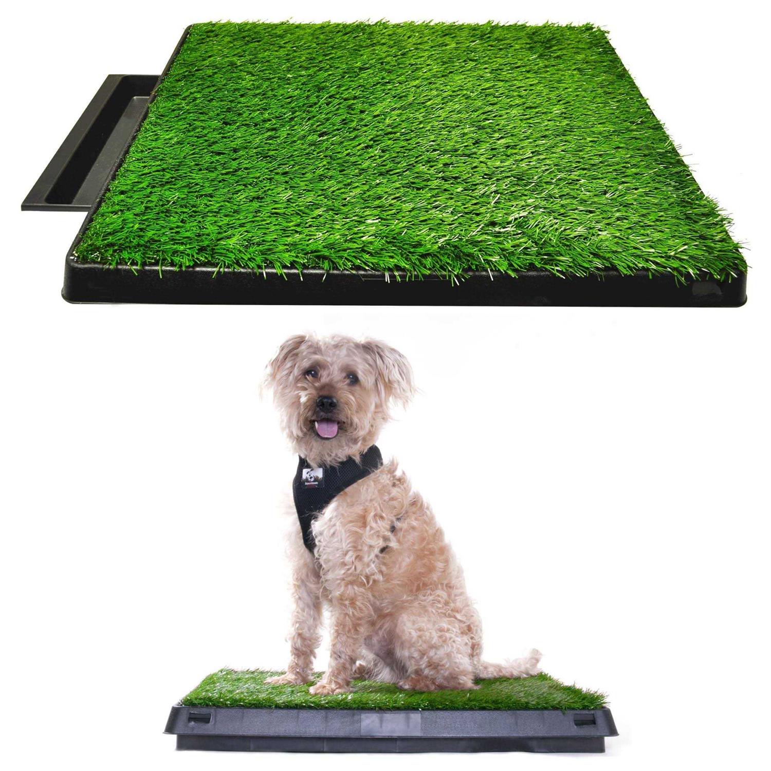 Downtown Pet Supply Dog Grass Pad with Tray, 20 x - Pet Supplies online store