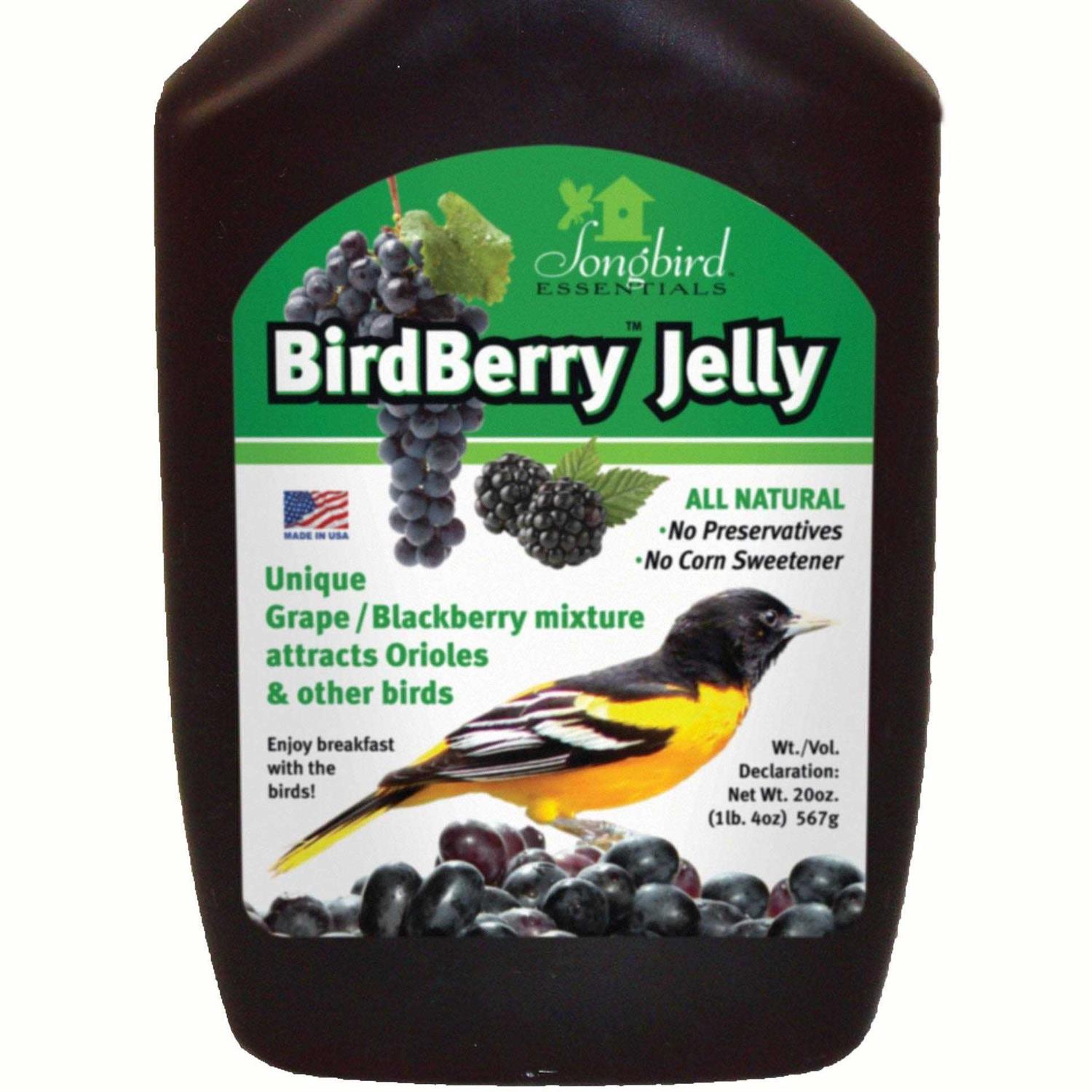 Songbird Essentials Birdberry Jelly 20 oz - Pet Supplies online store
