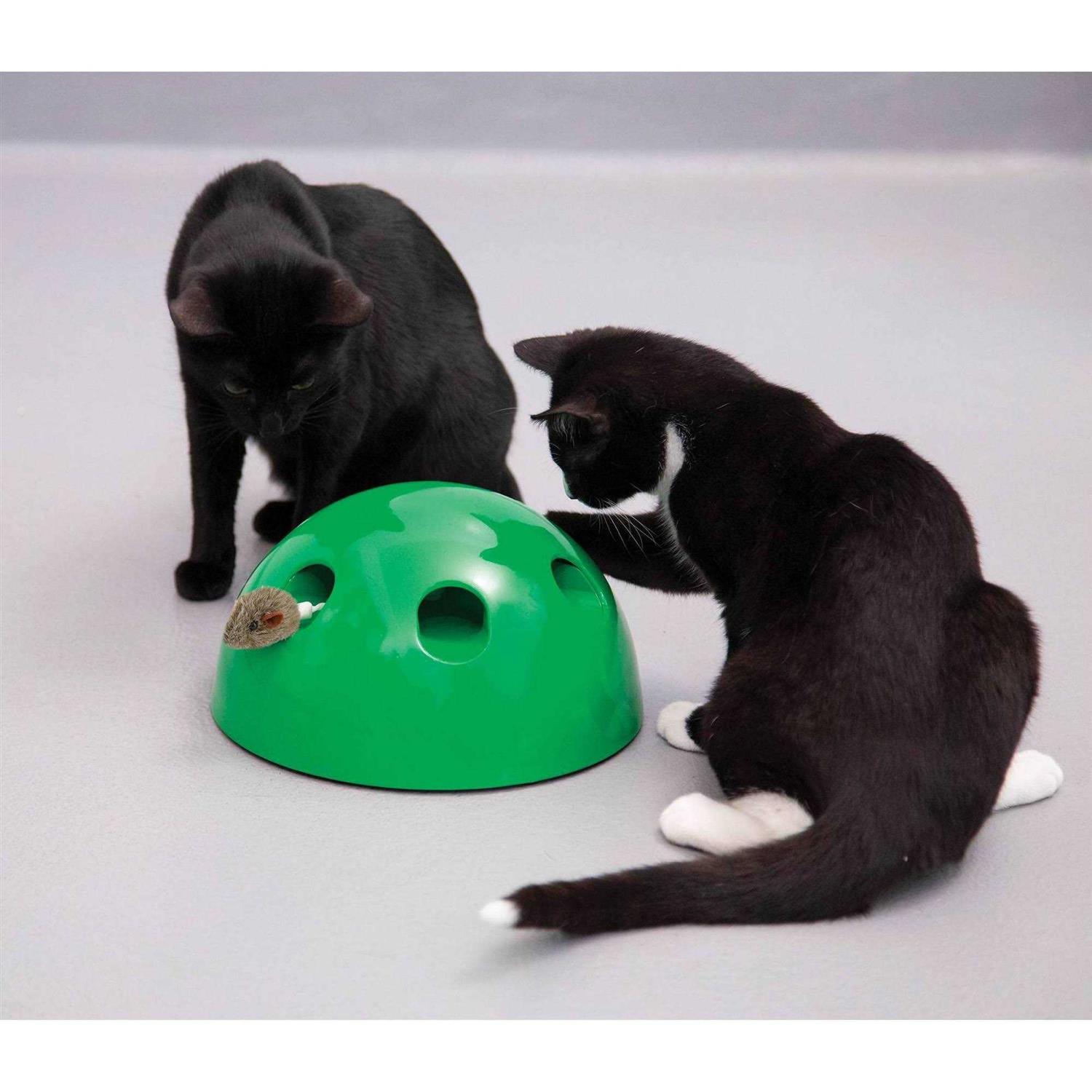 Pop N Play Cat Toy - Pet Supplies online store
