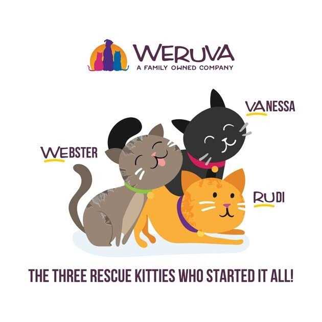 Weruva B.F.F. OMG Best Feline Friend Oh My Gravy - Pet Supplies online store