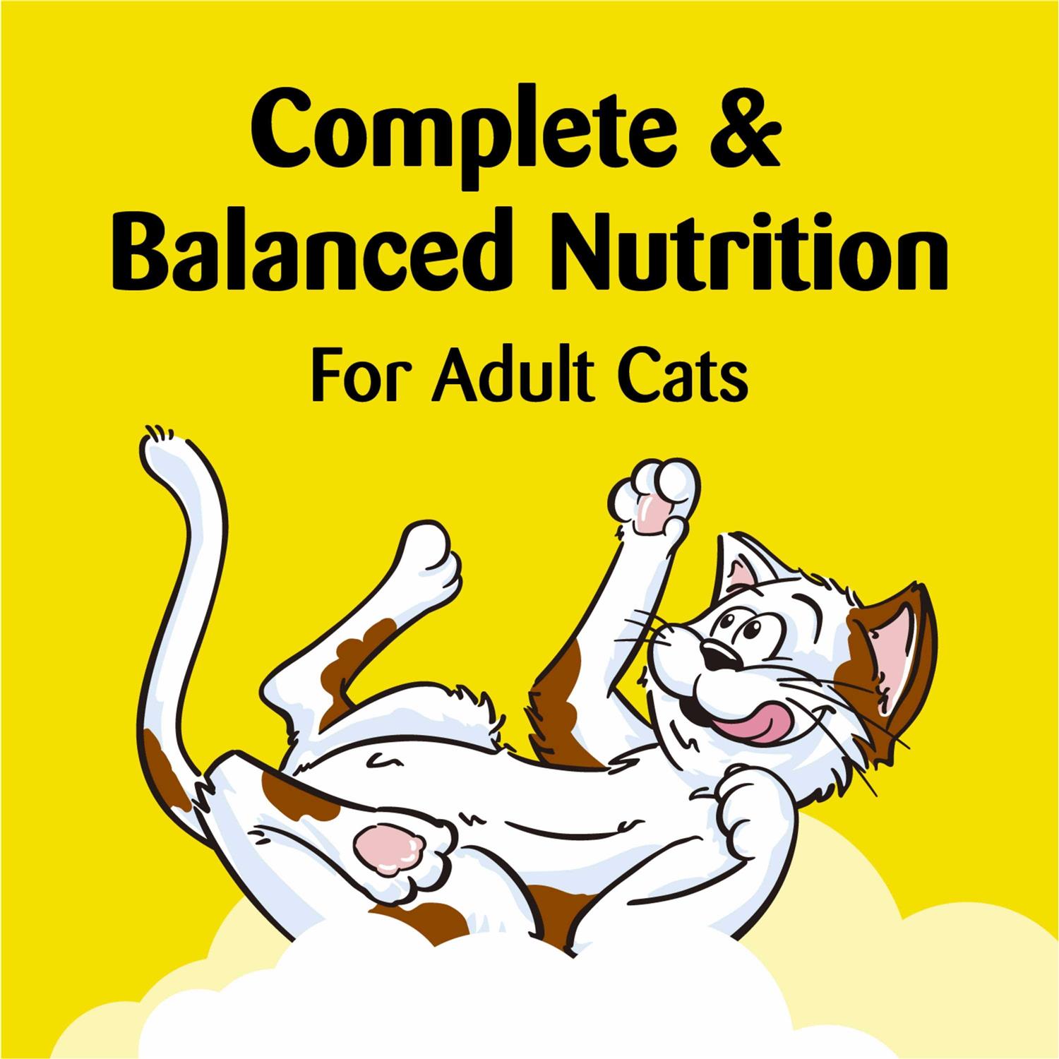 Temptations ShakeUps Crunchy and Soft Cat Treats - Pet Supplies online store