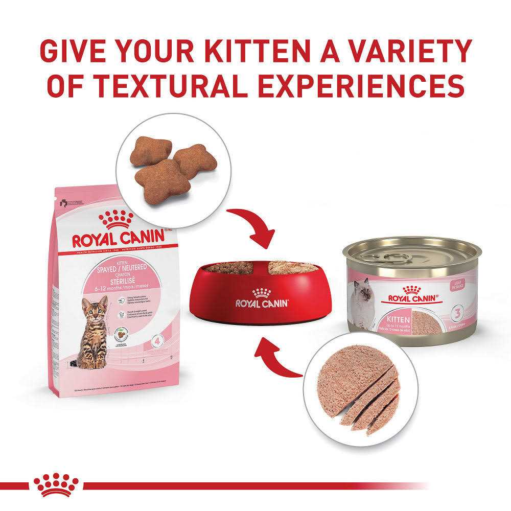Royal Canin Feline Health Nutrition Kitten Spayed/Neutered Dry Cat Food - Pet Supplies online store