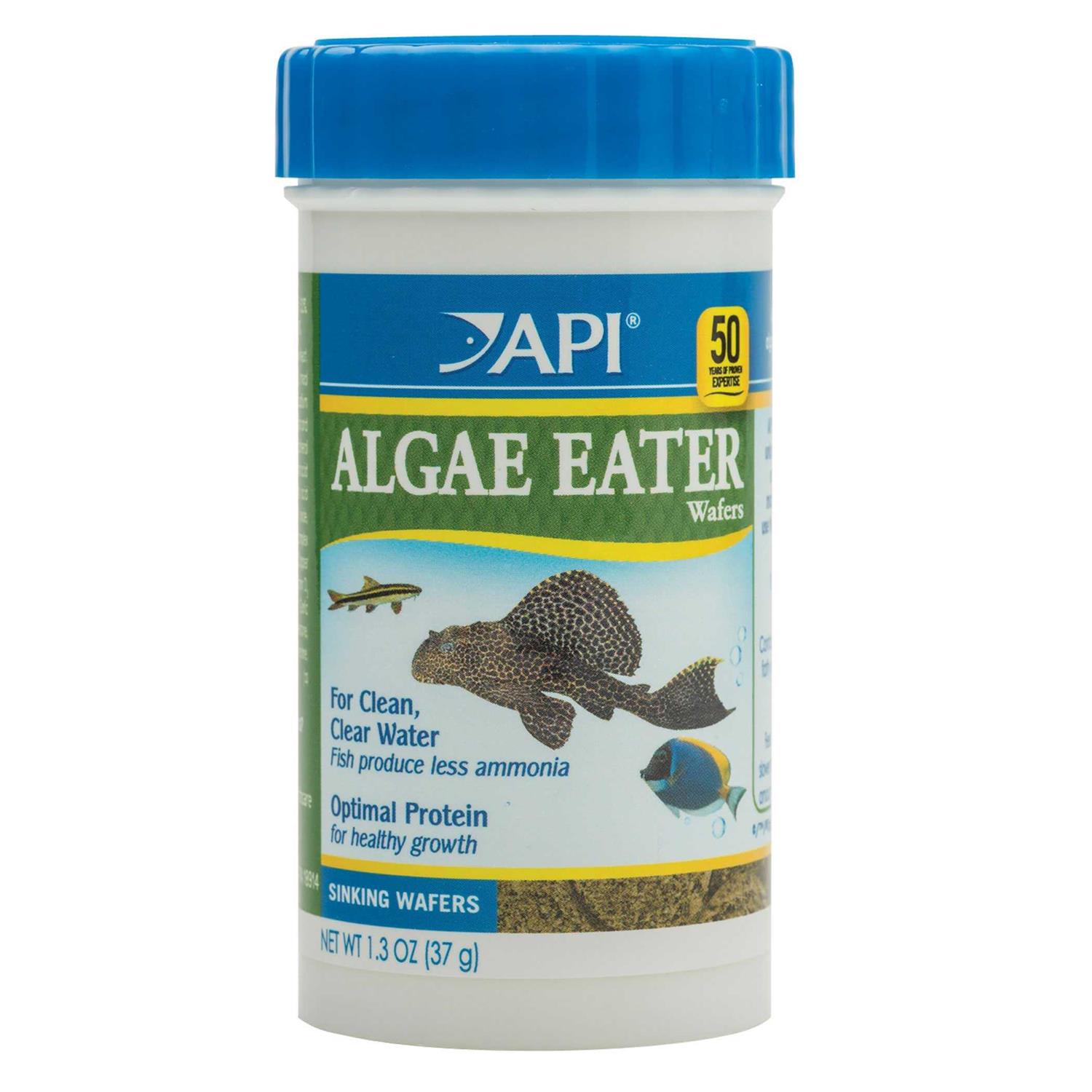 API Algae Eater Algae Wafers - Pet Supplies online store