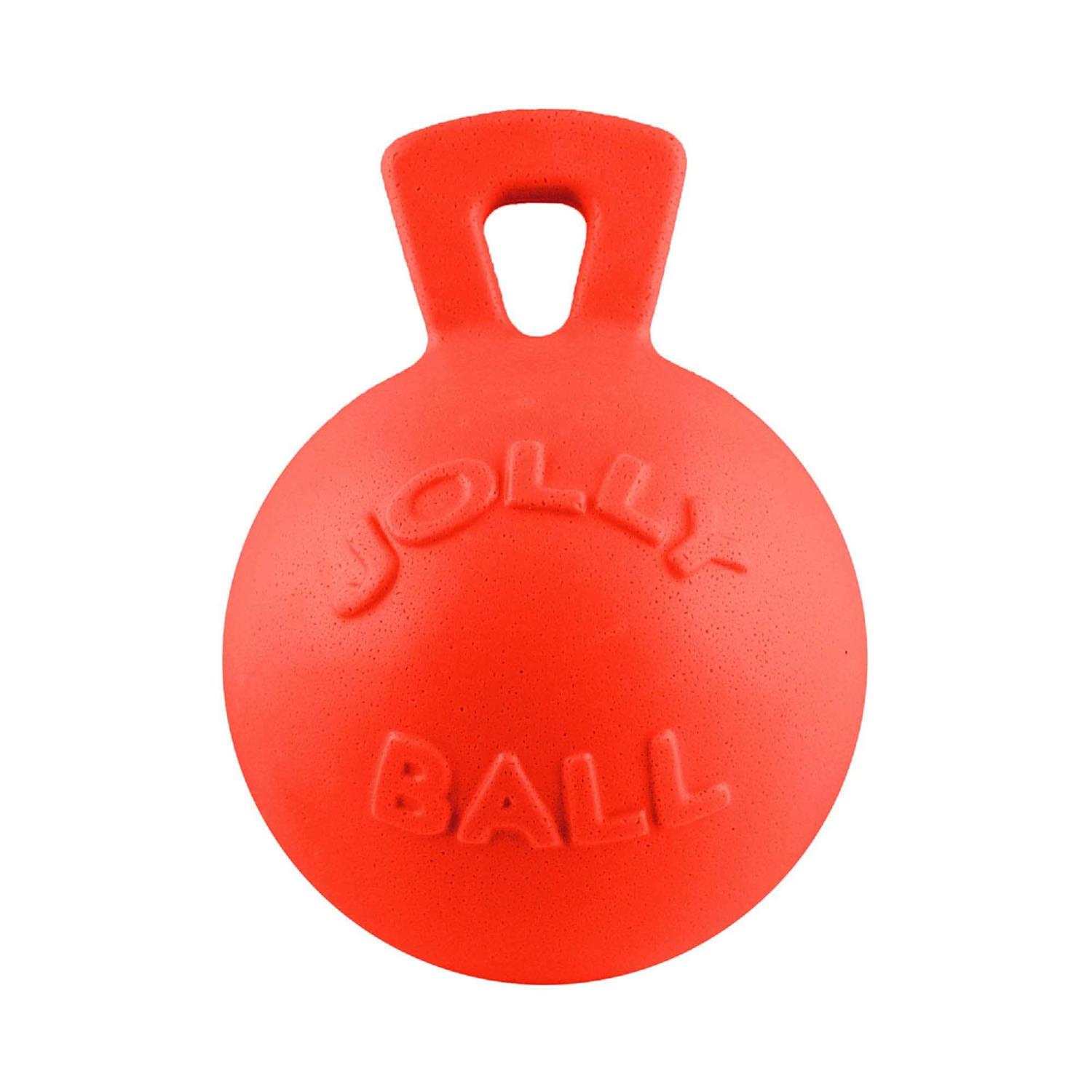 Jolly Pets Dual Jolly Ball - Pet Supplies online store