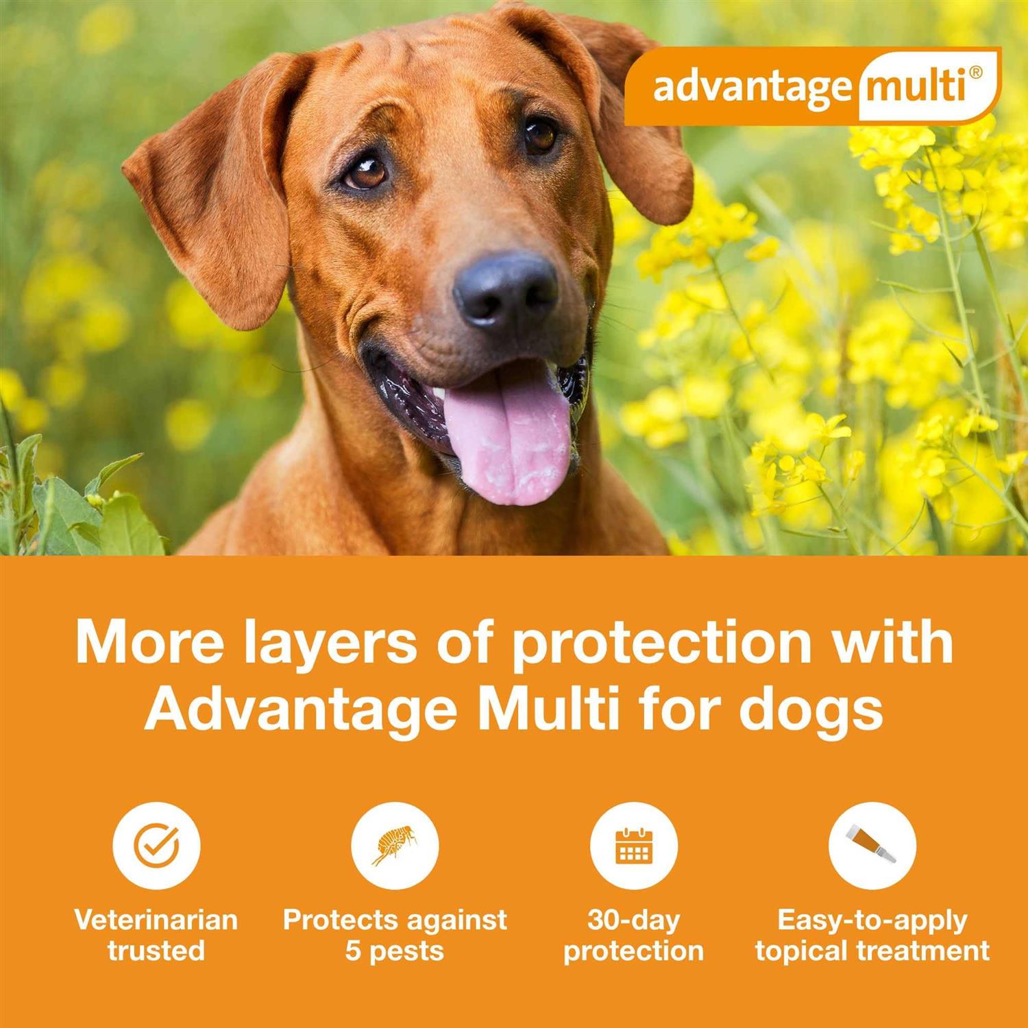 Advantage Multi for Dogs - Pet Supplies online store