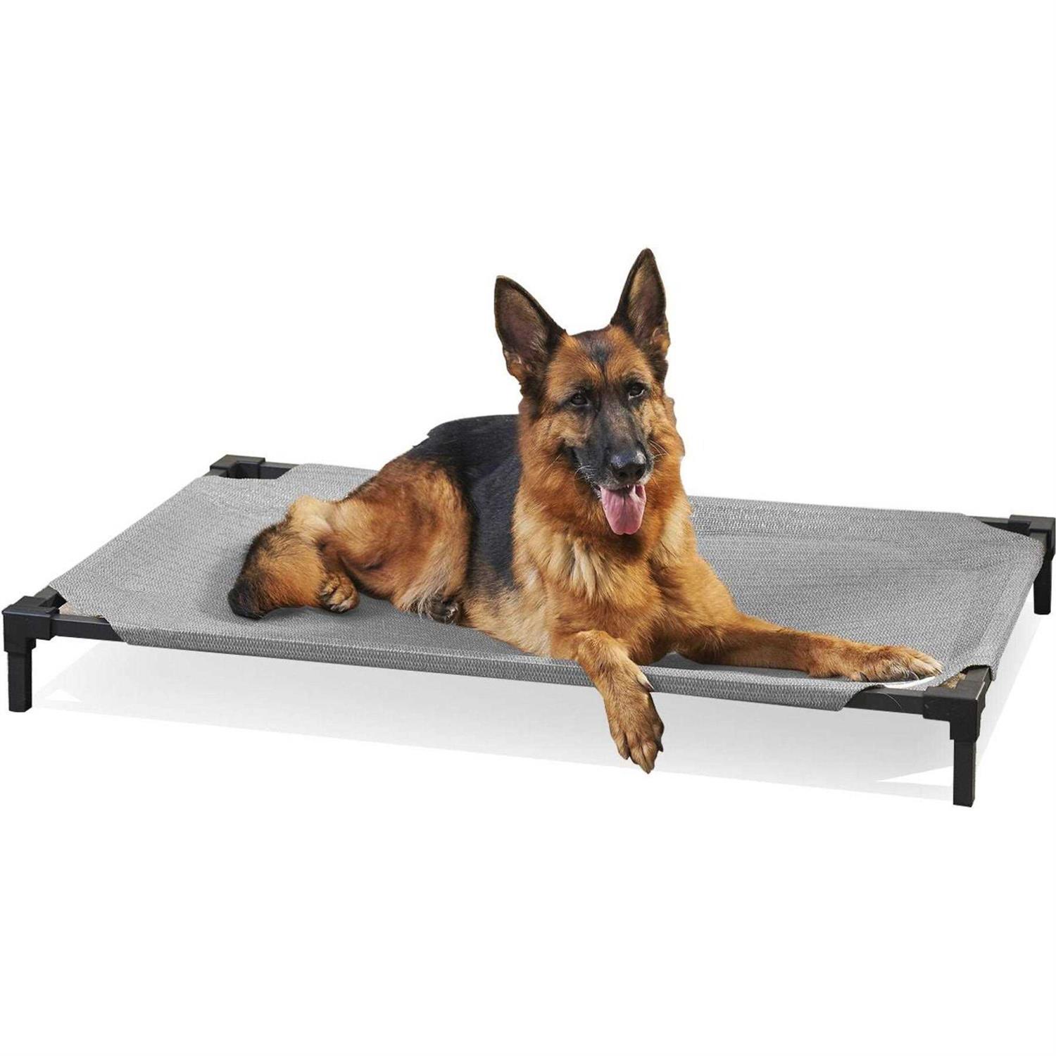 Coolaroo Cooling Elevated Pet Bed Pro - Pet Supplies online store