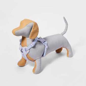 Boots & Barkley Basic Dog Collar - Pet Supplies online store