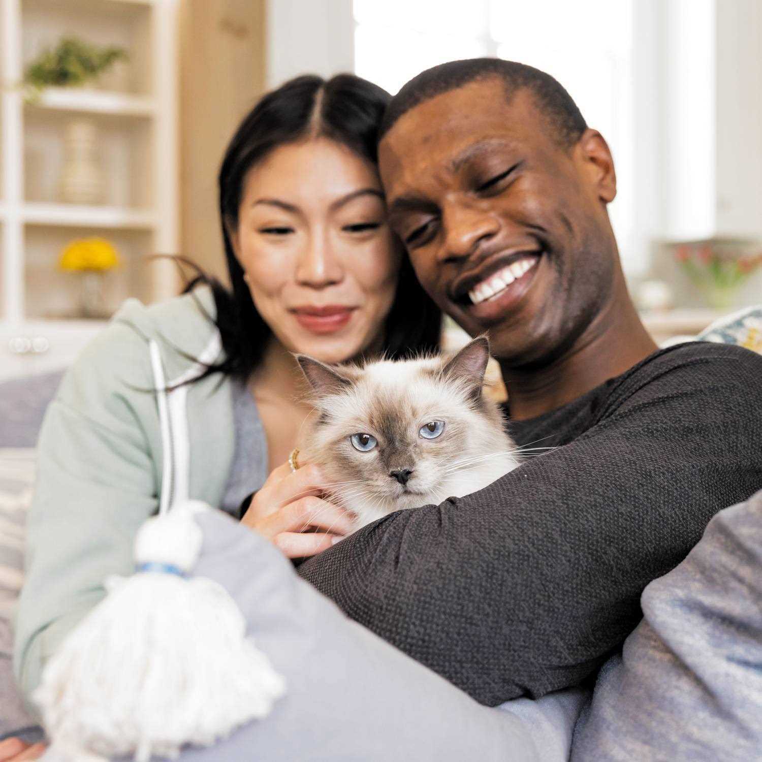 Iams Advanced Health Healthy Digestion Turkey & Chicken Recipe Adult Dry Cat Food - Pet Supplies online store