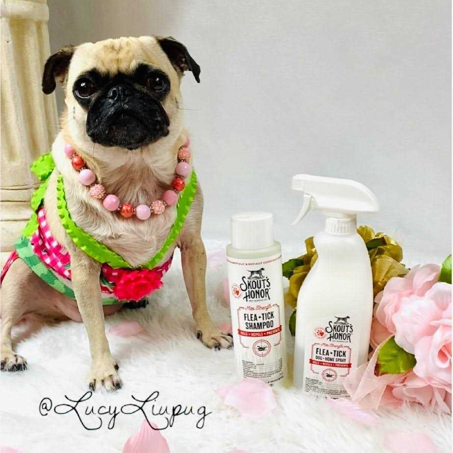 Skout's Honor Flea & Tick Shampoo - Pet Supplies online store