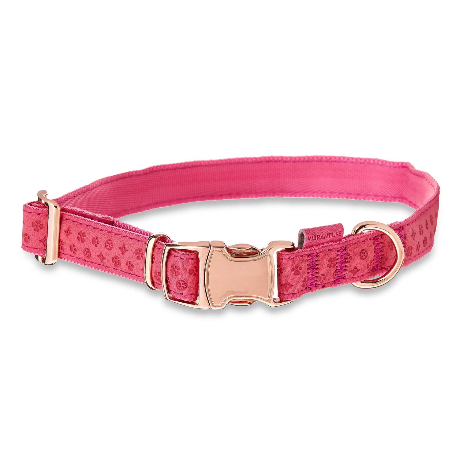 Vibrant Life Embossed Adjustable Dog Collar - Pet Supplies online store