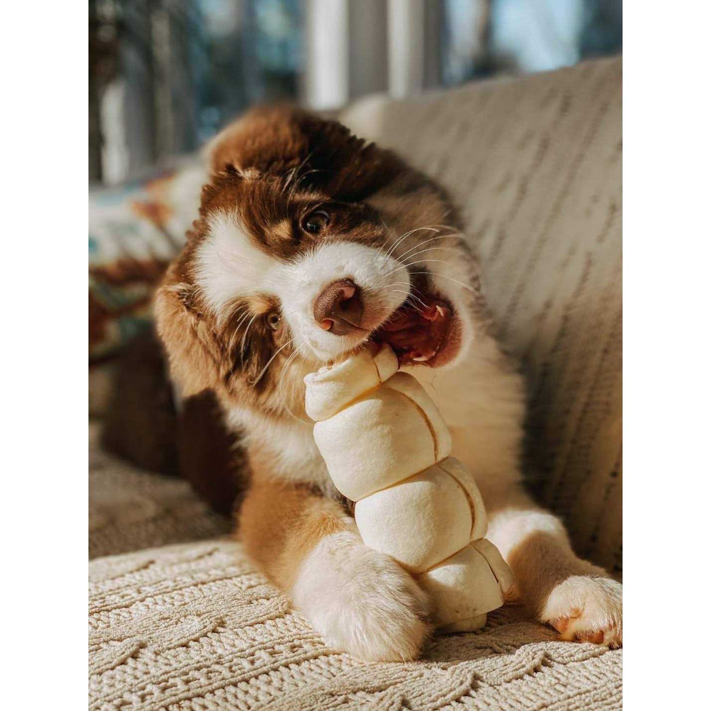 Redbarn Beef Cheek Roll Dog Large - Pet Supplies online store