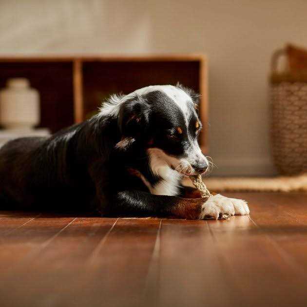 Bones & Chews 8 Braided Braided Cod Skin Dog Treats - Pet Supplies online store