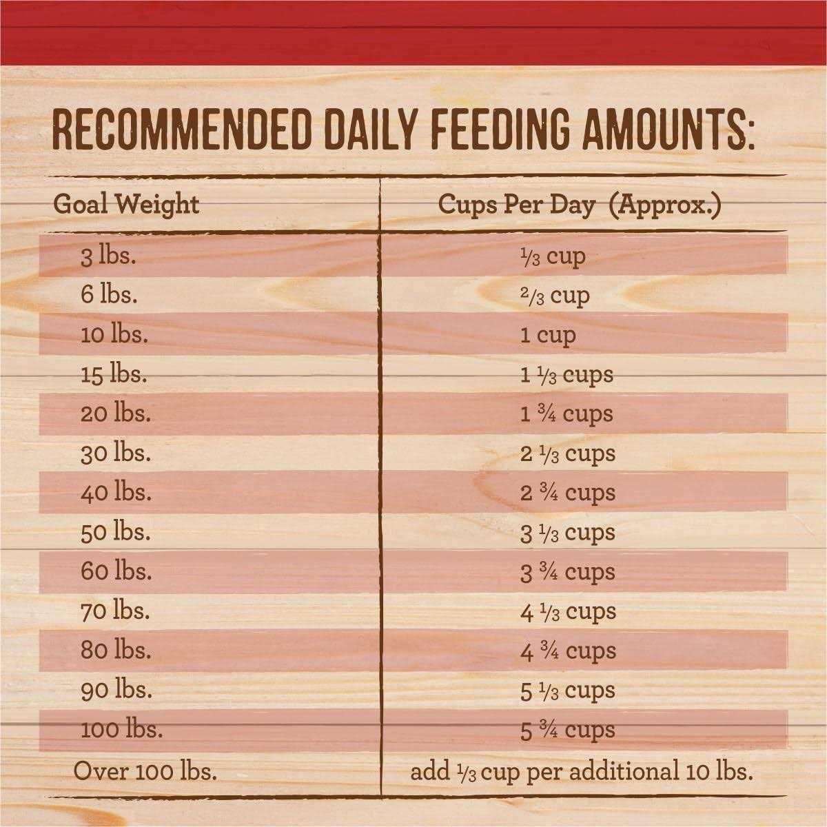 Merrick Healthy Grains Freeze Dried Raw Coated Kibble Dry Dog Food Real and Brown Rice Recipe - Pet Supplies online store