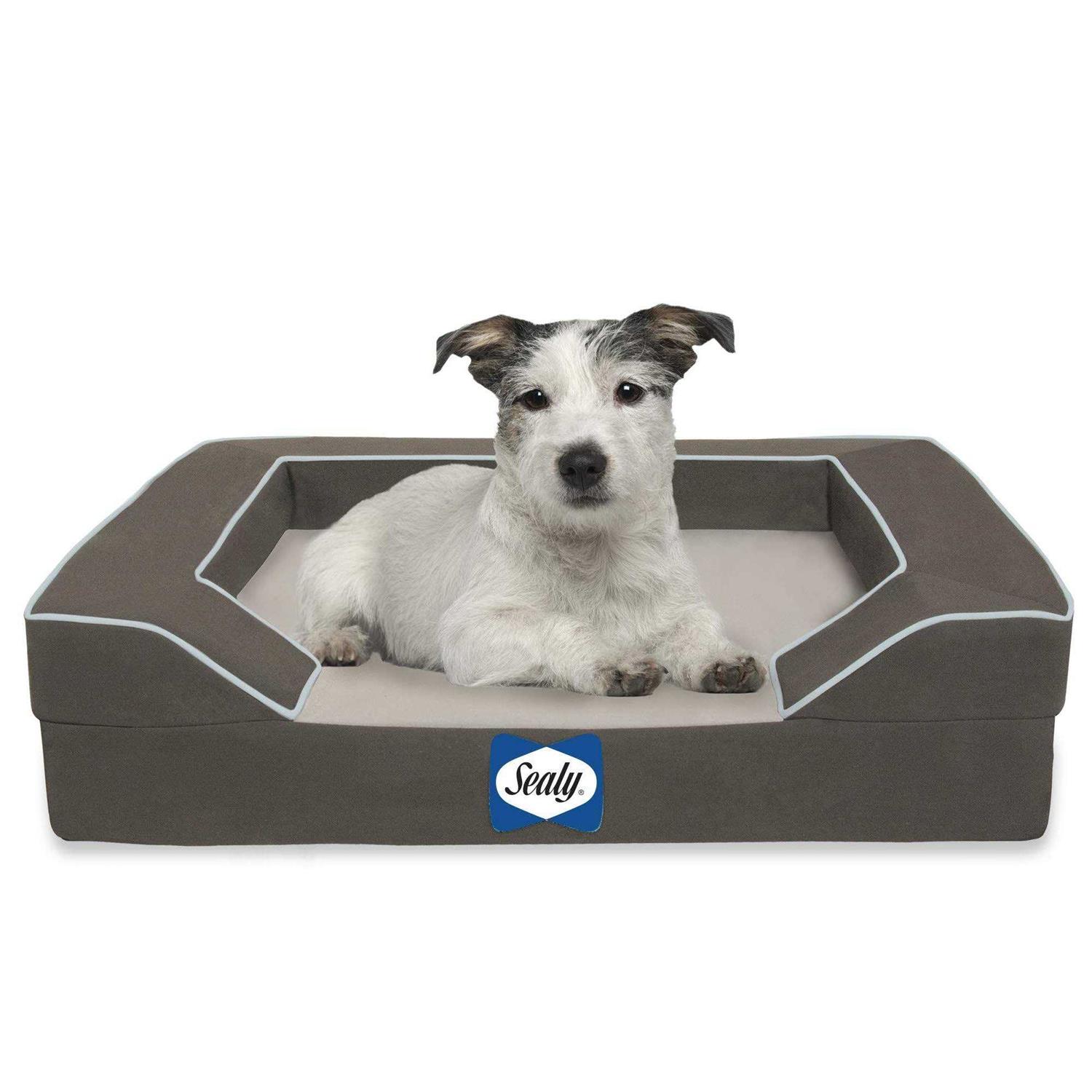 Sealy Lux Orthopedic Memory Foam Dog Bed - Pet Supplies online store