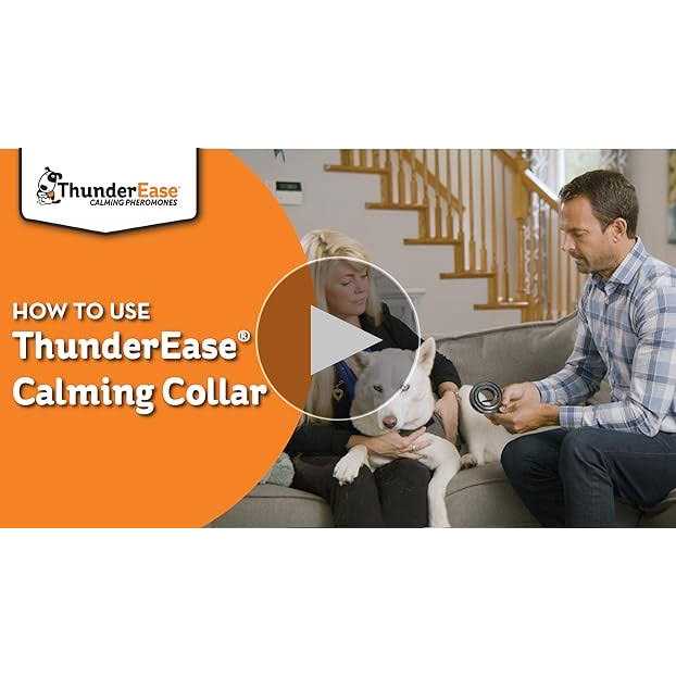 ThunderEase Calming Dog Collar - Pet Supplies online store