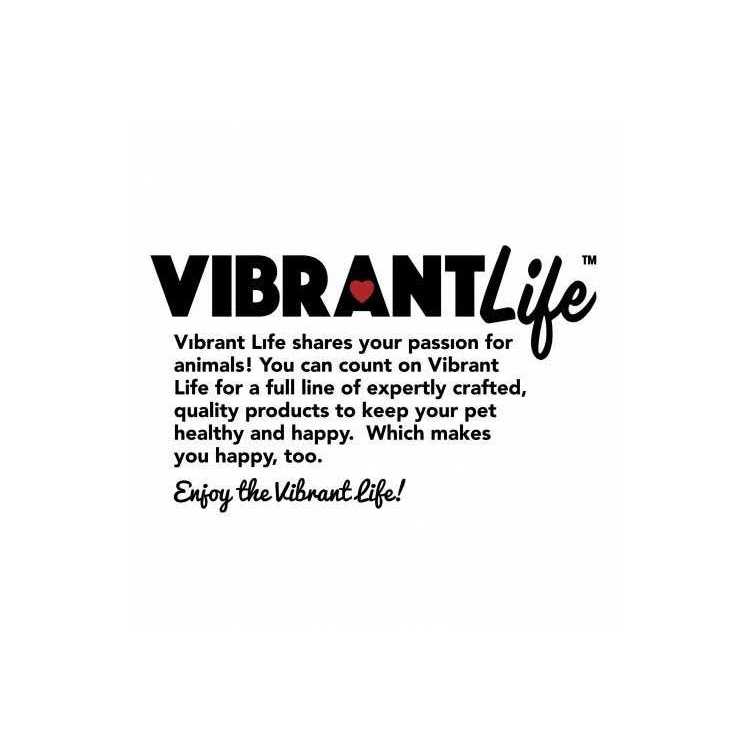 Vibrant Life Reflective Vinyl-Covered Tie-Out for Dogs - Pet Supplies online store