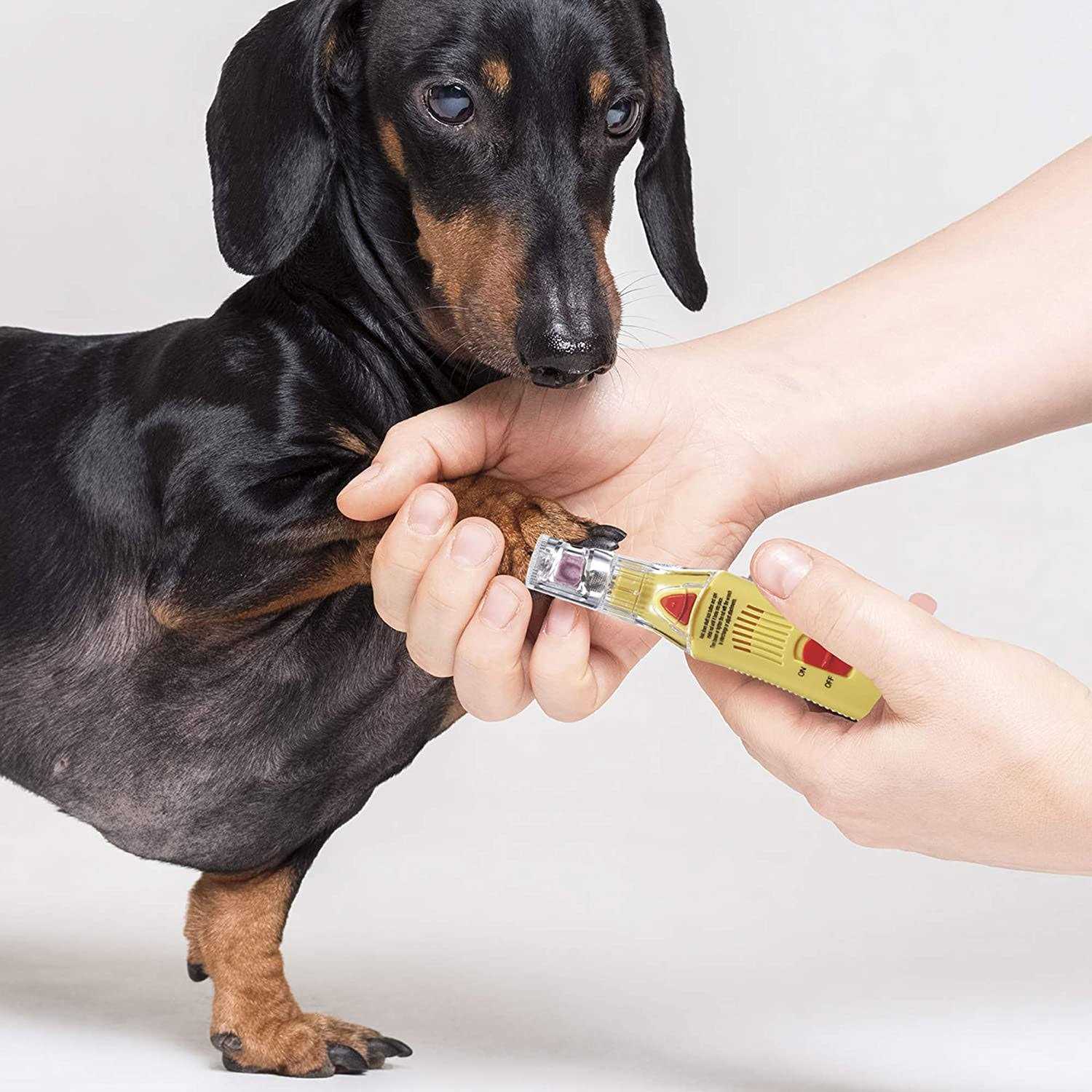 ConairPRO Dog Professional Nail Grinder - Pet Supplies online store