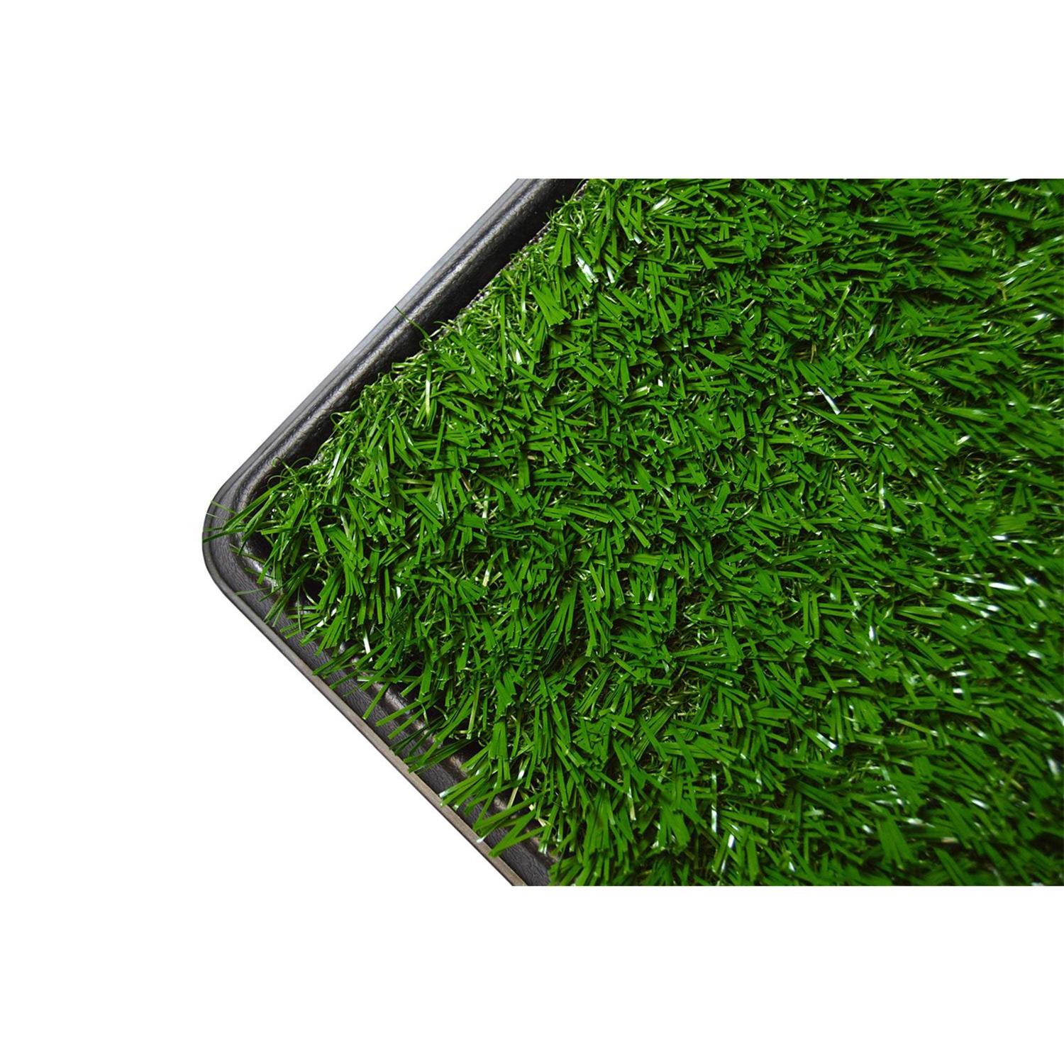 Downtown Pet Supply Dog Grass Pad with Tray, 20 x - Pet Supplies online store