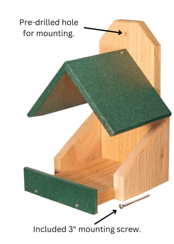 JCs Wildlife Cedar Robin Roost Birdhouse with Recycled Poly Lumber Roof (Green)