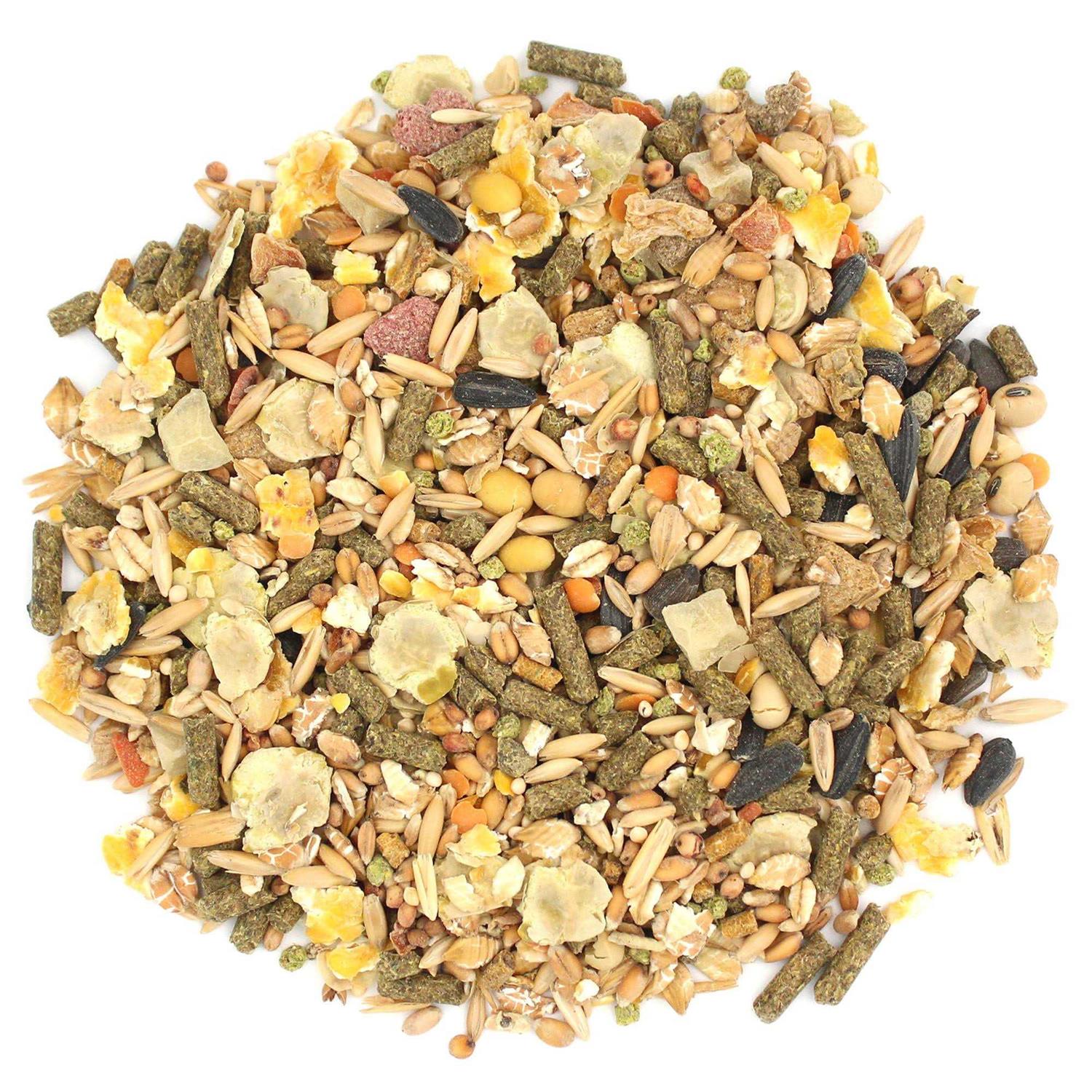 Sunseed Vita Prima Dwarf Hamster Food - Pet Supplies online store