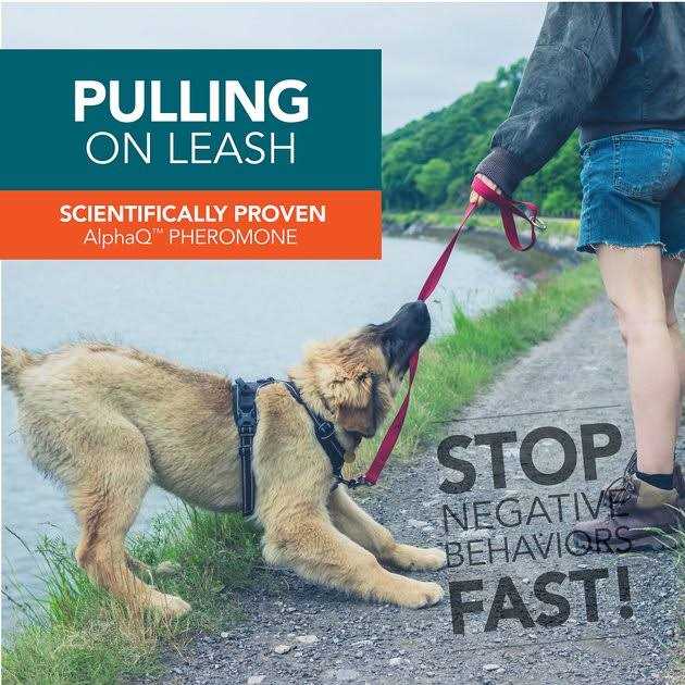 TevraPet No! No! Dogs Correction Spray - Pet Supplies online store