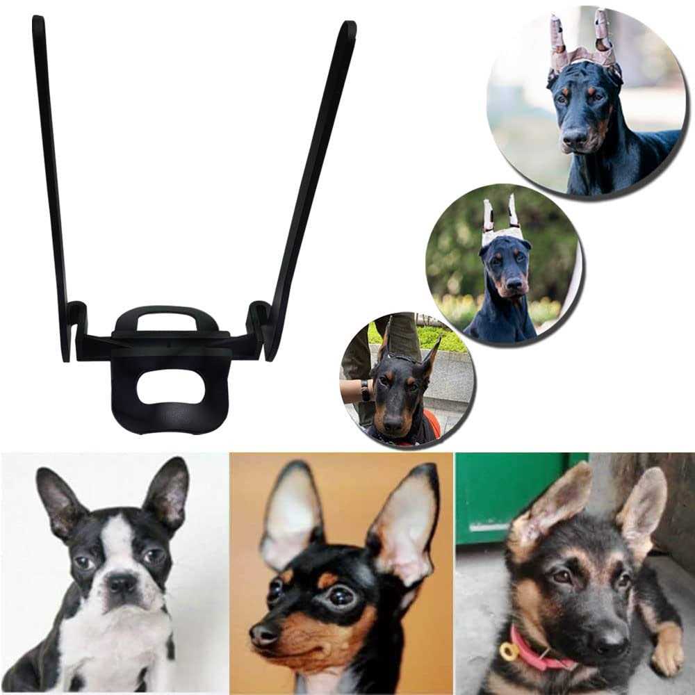 Dandelion Dog Ear Posting Kit Dog Ear Stand Up Support - Pet Supplies online store