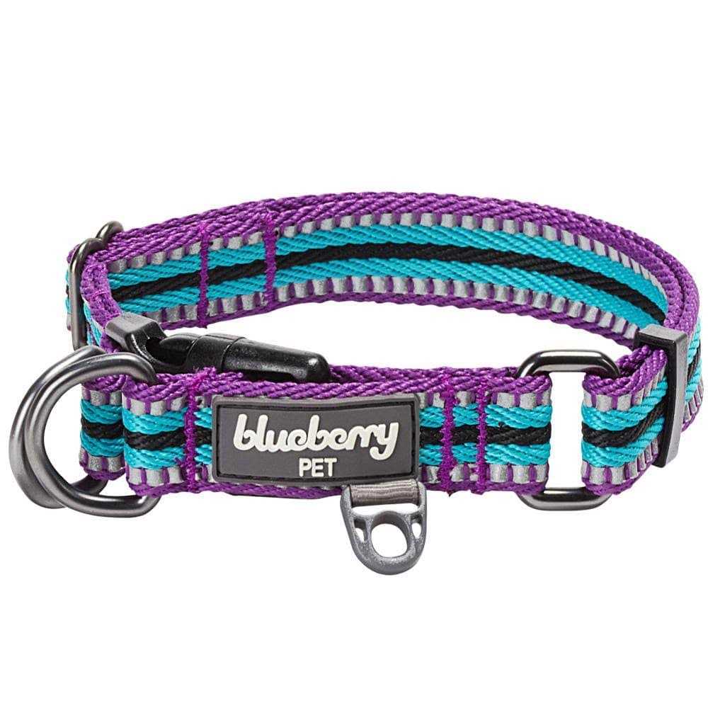 Blueberry Pet 3M Reflective Multi-Colored Stripe and Dog Collar - Pet Supplies online store