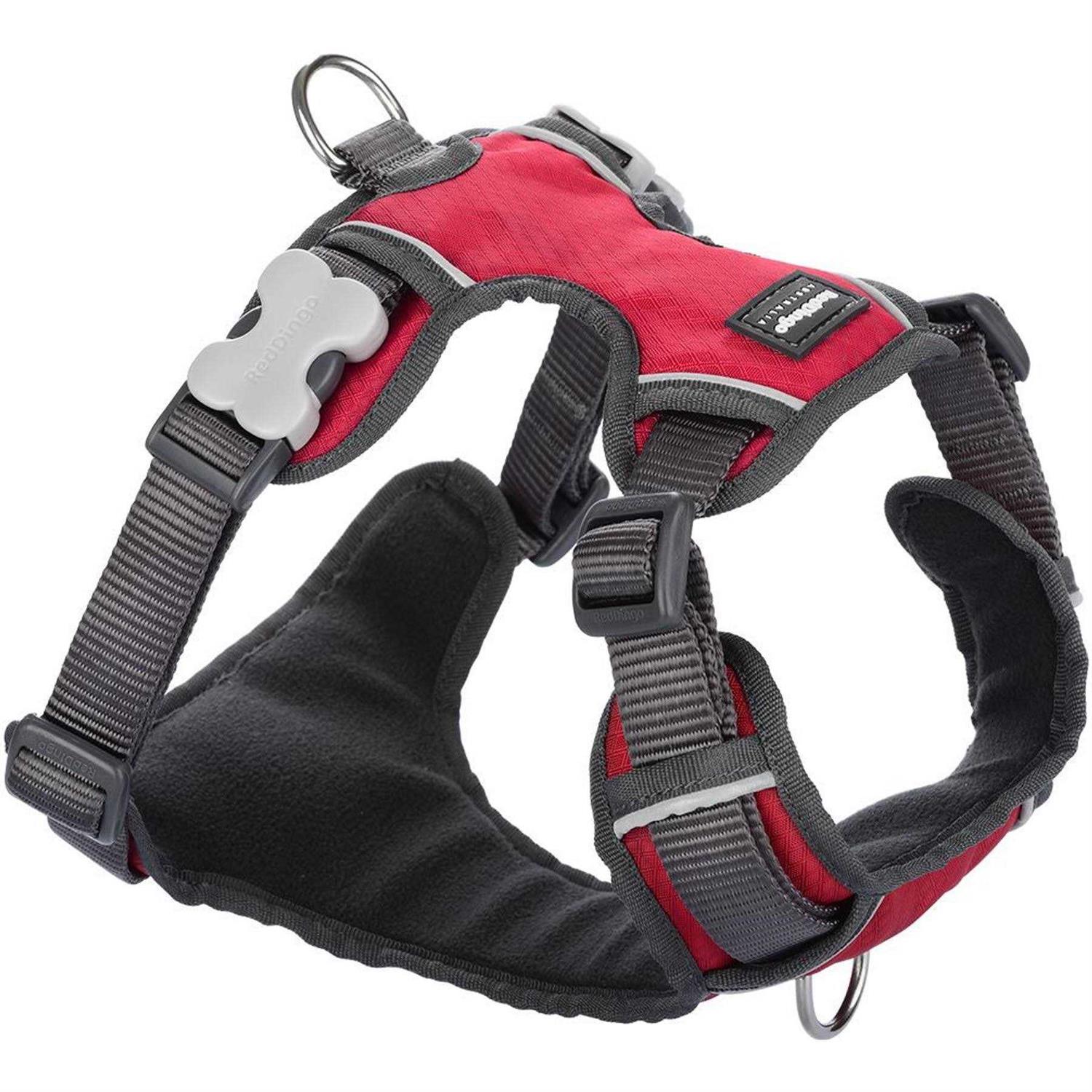 Dog Harness Red Dingo Padded - Pet Supplies online store