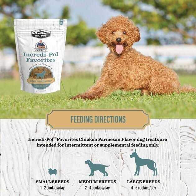 Dr. Pol Incredi-Pol Favorites Parmesan Chicken Flavor Crunchy Dog Treats - Pet Supplies online store