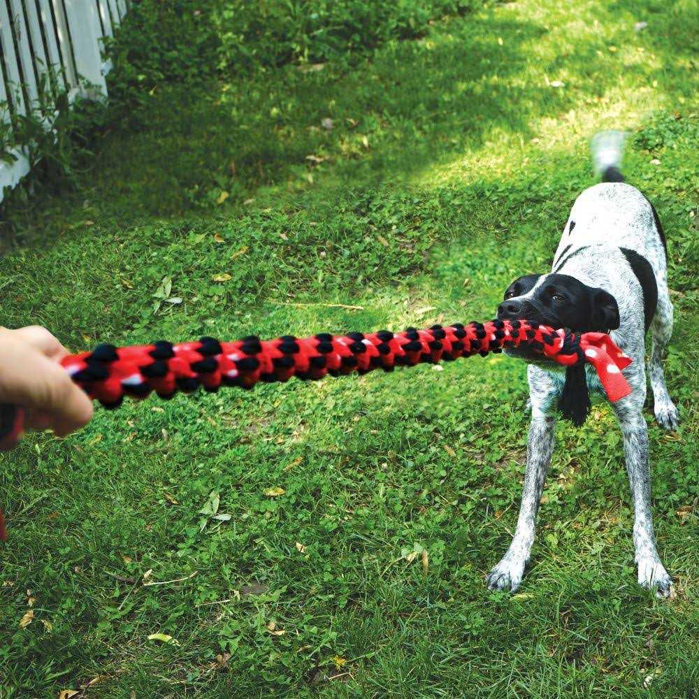 KONG Signature Double Tug Rope Dog Toy - Pet Supplies online store