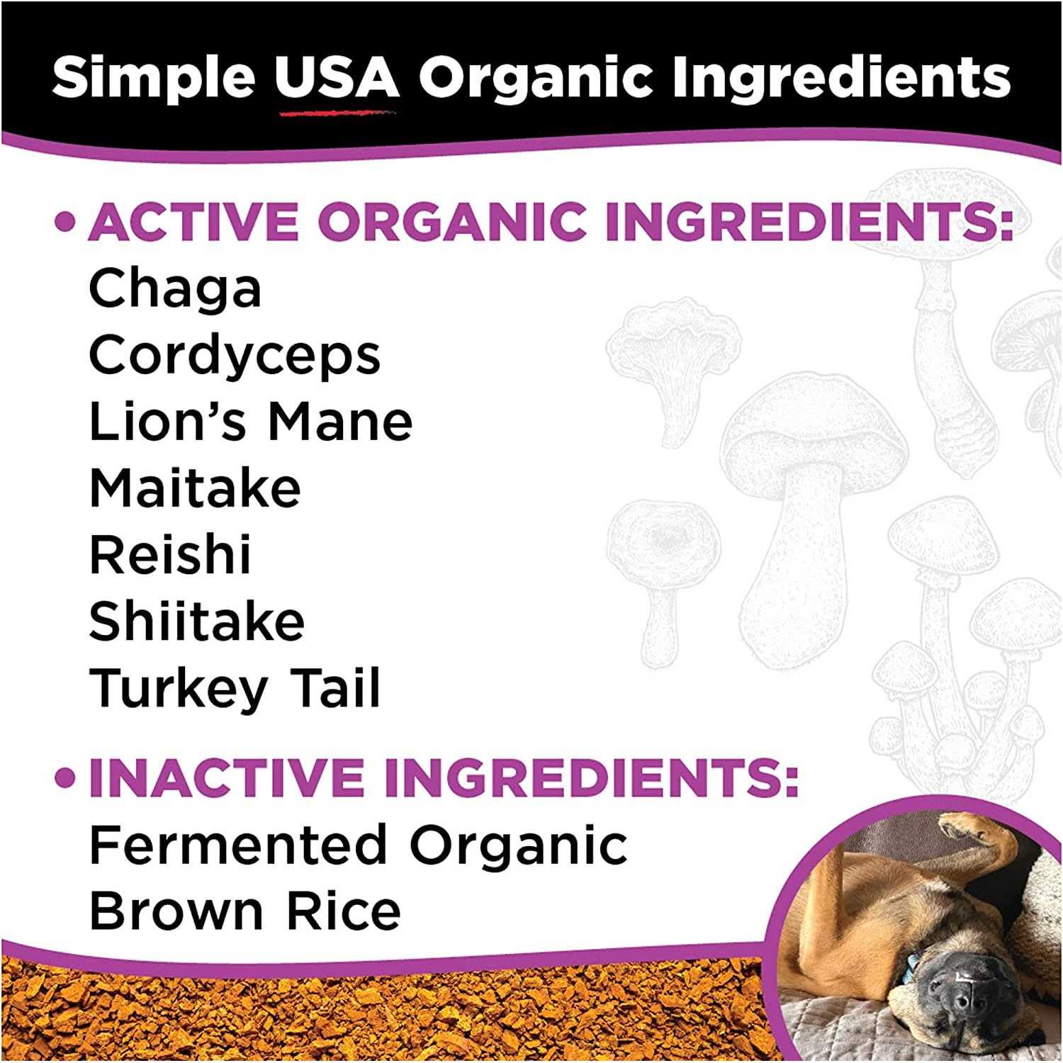 Super Snouts Super Shrooms - Pet Supplies online store