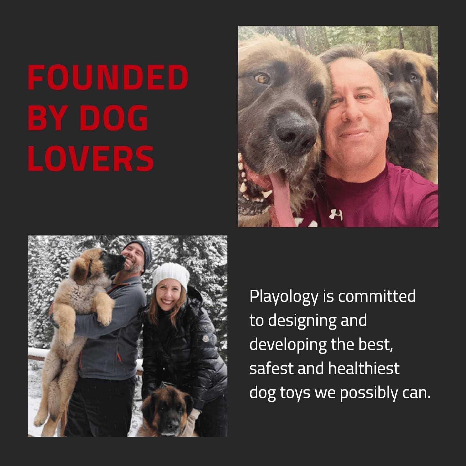 Playology Plush Crinkle Ring Beef Scented Dog Toy - Pet Supplies online store